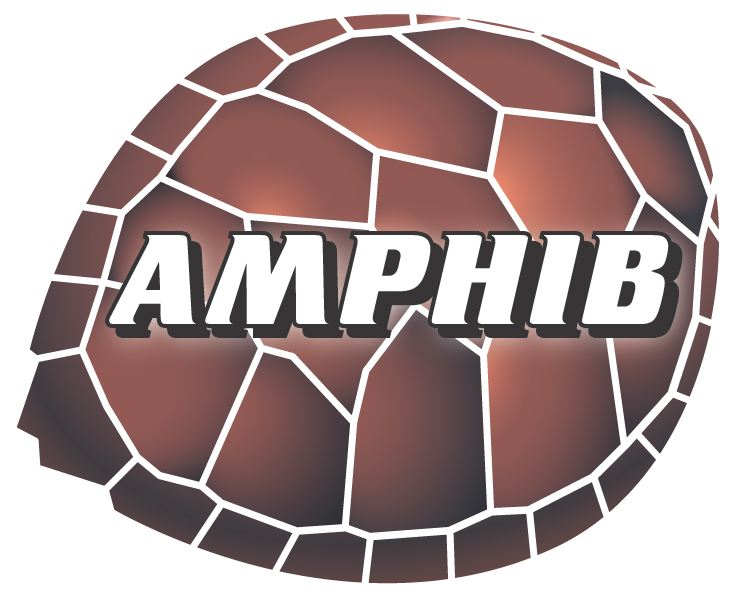 Amphib
